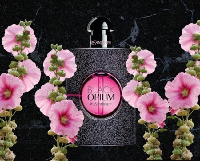 BLACK OPIUM NEON EDP YSL