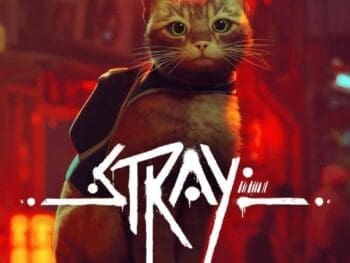 Stray PC/Steam